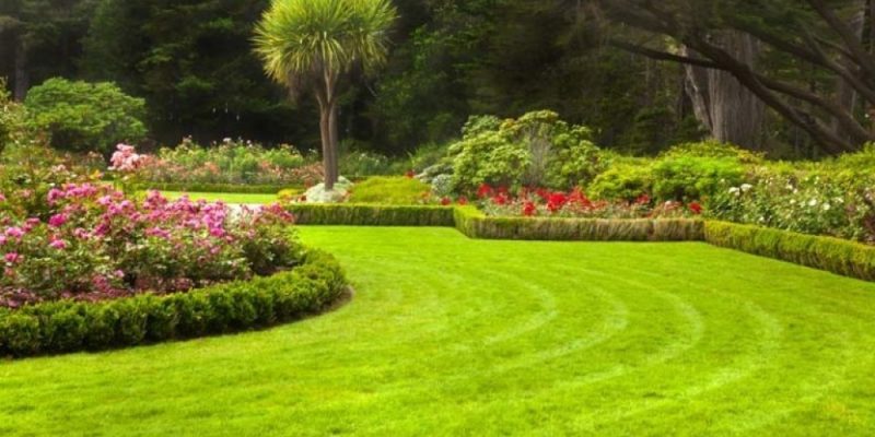 Landscape Services