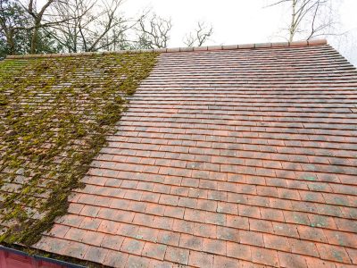 Moss Removal